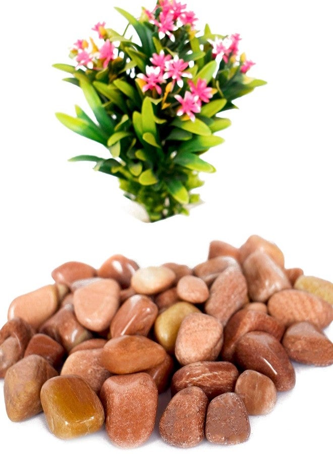 Power Stone Decorative Coloured Asymmetric Marble Stone Pebbles for Vase Filler Plant Pots Home Aquarium Fish Tanks Landscape Outdoor Garden Decoration (Brown, 2 Kg) - Image 3